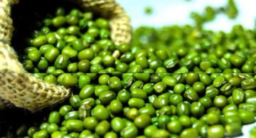 images-green-gram-500x500
